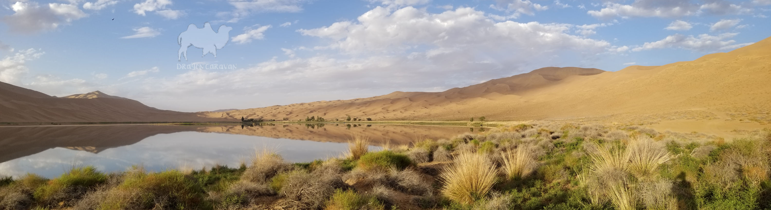 Gobi Desert landscape