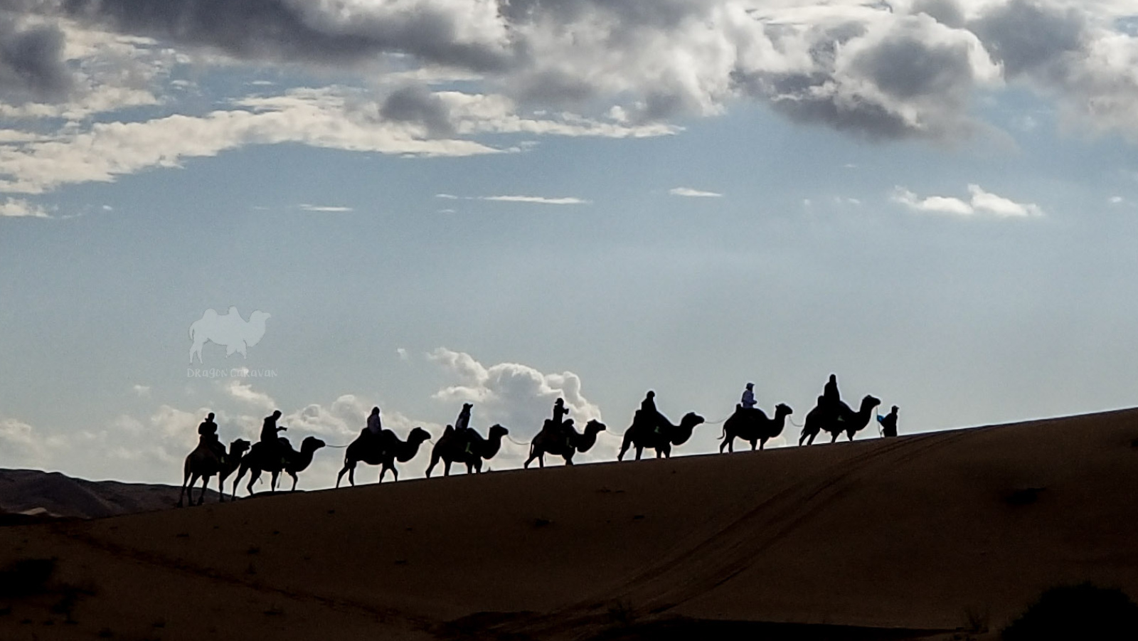 Group activity in the desert